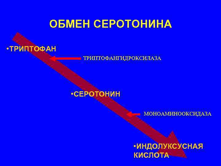   ОБМЕН СЕРОТОНИНА  • ТРИПТОФАН    ТРИПТОФАНГИДРОКСИЛАЗА   