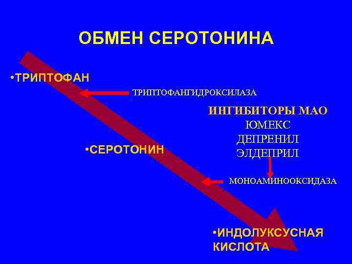   ОБМЕН СЕРОТОНИНА  • ТРИПТОФАН    ТРИПТОФАНГИДРОКСИЛАЗА   