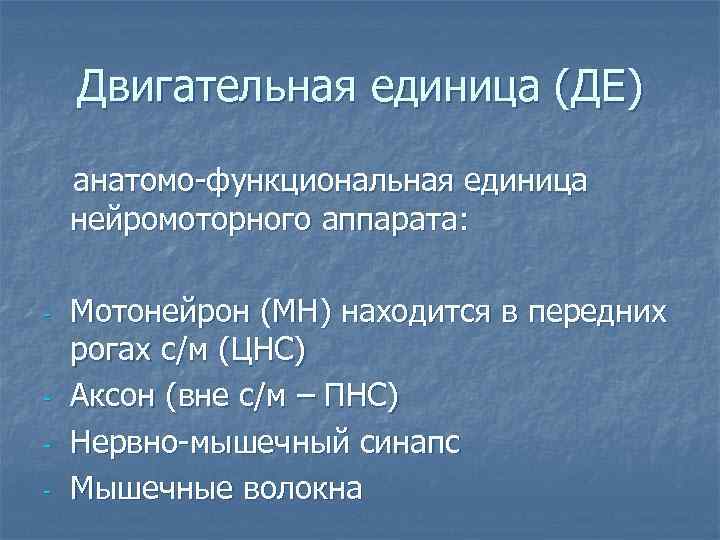   Двигательная единица (ДЕ) анатомо-функциональная единица нейромоторного аппарата:  -  Мотонейрон (МН)