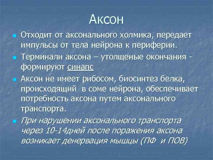     Аксон n  Отходит от аксонального холмика, передает импульсы от