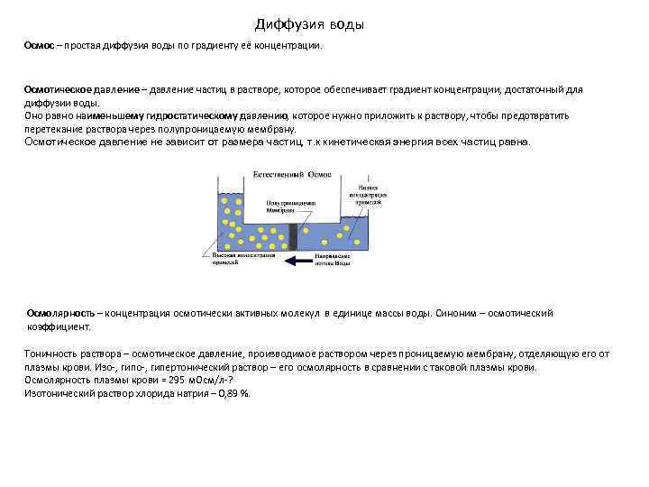 Диффузия воды Осмос – простая диффузия воды по градиенту Диффузия воды Осмос – простая диффузия воды по градиенту