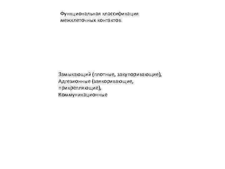 Функциональная классификация межклеточных контактов Замыкающий (плотные, закупоривающие), Адгезионные (заякоривающие, прикрепляющие), Коммуникационные Функциональная классификация межклеточных контактов Замыкающий (плотные, закупоривающие), Адгезионные (заякоривающие, прикрепляющие), Коммуникационные