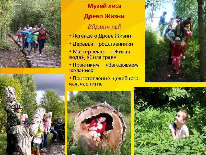   Музей леса  Древо Жизни   Вăрман уçă • Легенда о