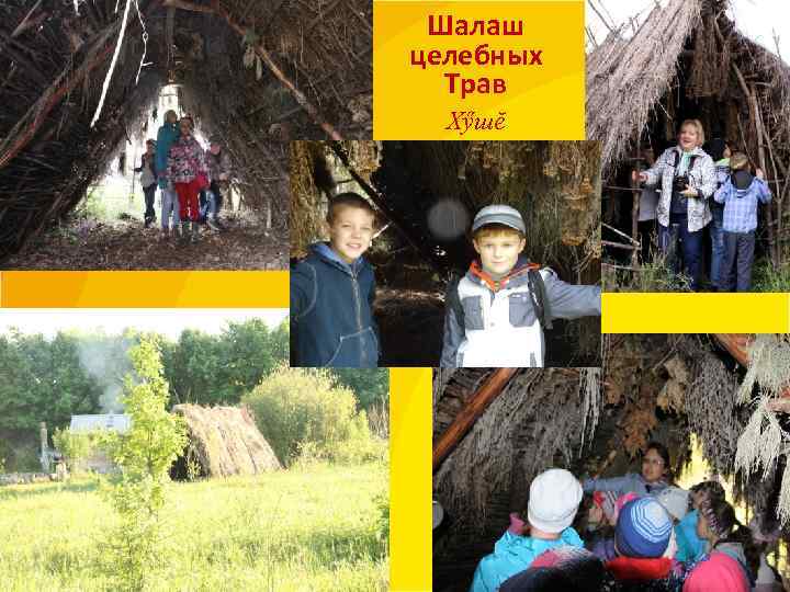  Шалаш целебных  Трав  Хӳшĕ 