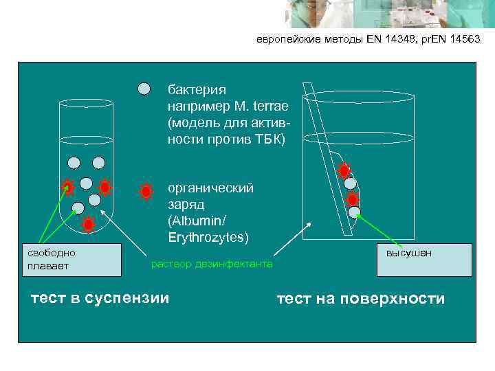  европейские методы EN 14348, pr. EN 14563 бактерия например M. terrae (модель для