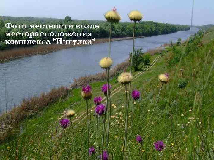 Фото местности возле месторасположения комплекса 