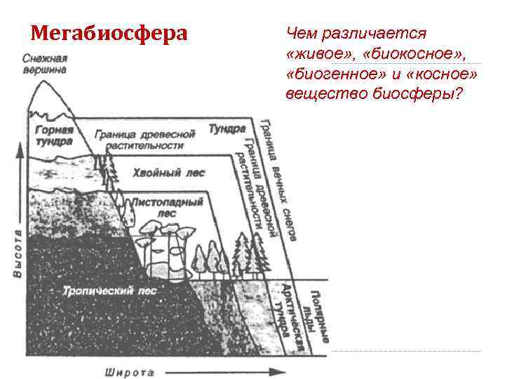 Мегабиосфера  Чем различается   «живое» ,  «биокосное» ,   «биогенное»