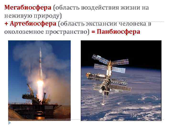 Мегабиосфера (область воздействия жизни на неживую природу) + Артебиосфера (область экспансии человека в околоземное