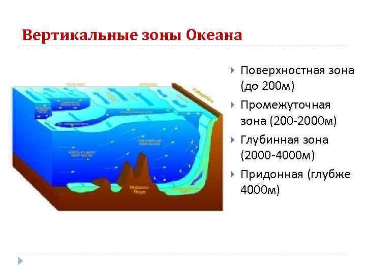 Схема глубинных зон океана 5 класс география