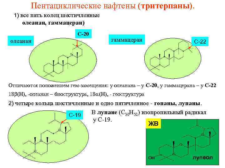  Пентациклические нафтены (тритерпаны). 1) все пять колец шестичленные олеанан, гаммацеран) С-20 олеанан гаммацеран