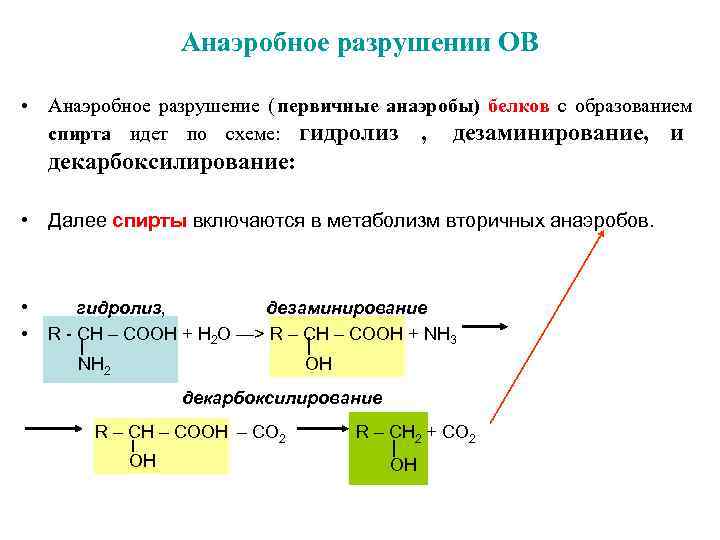   Анаэробное разрушении ОВ  • Анаэробное разрушение ( первичные анаэробы) белков