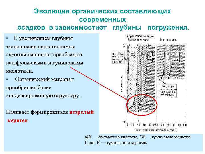   Эволюция органических составляющих    современных  осадков в зависимостиот глубины