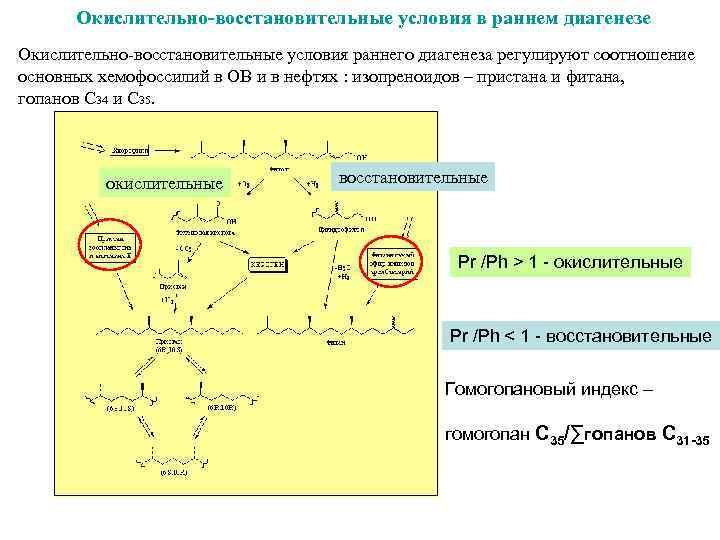  Окислительно-восстановительные условия в раннем диагенезе Окислительно-восстановительные условия раннего диагенеза регулируют соотношение основных хемофоссилий