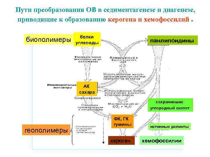 Схема образования лития