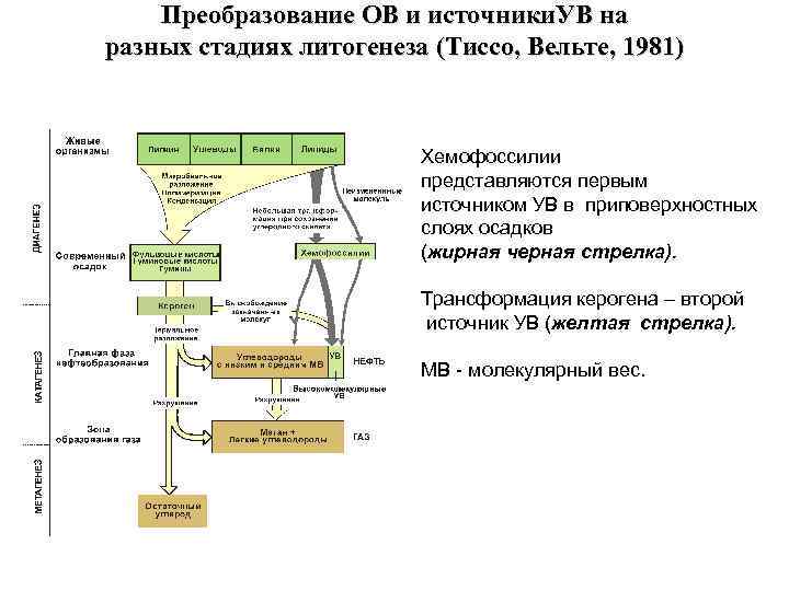 Диаграмма тиссо вельте