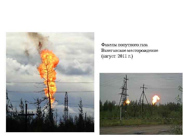 Факелы попутного газа Ванеганское месторождение (август 2011 г. ) 