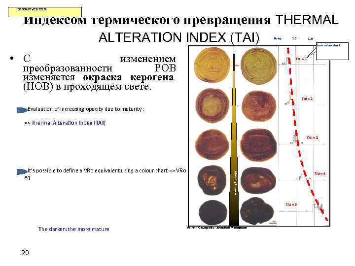  GENERATIVE SYSTEM Индексом термического превращения THERMAL ALTERATION INDEX (TAI) Roeq. 1. 0 1.