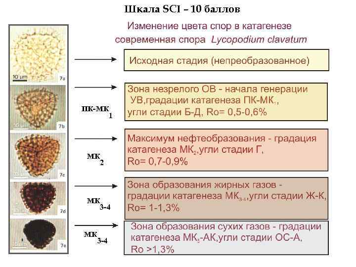  Шкала SCI – 10 баллов ПК-МК 1 МК 2 МК 3 -4 МК