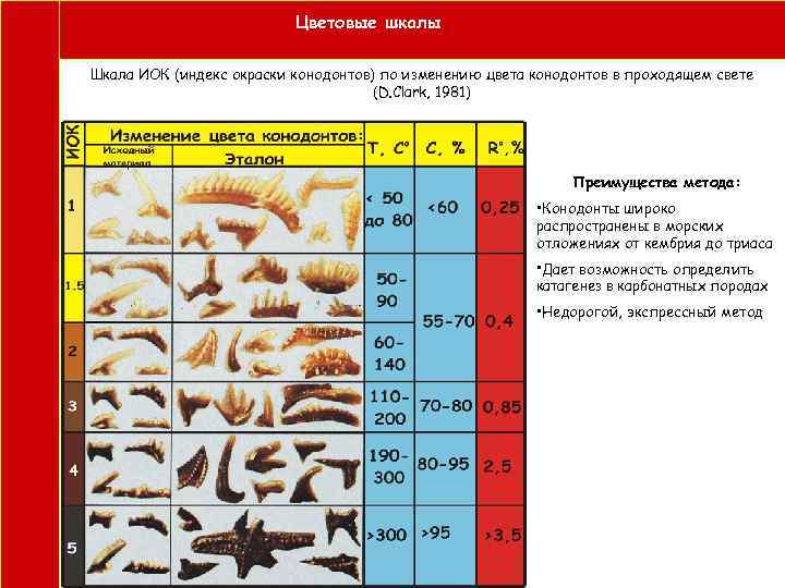  Цветовые шкалы Шкала ИОК (индекс окраски конодонтов) по изменению цвета конодонтов в проходящем