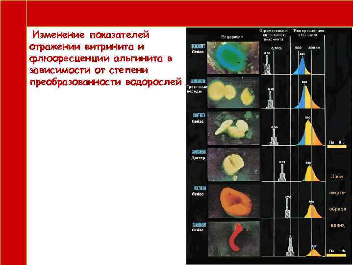  Изменение показателей отражении витринита и флюоресценции альгинита в зависимости от степени преобразованности водорослей