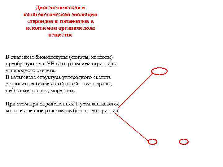  Диагенетическая и катагенетическая эволюция стероидов и гопаноидов в ископаемом органическом веществе В диагенезе