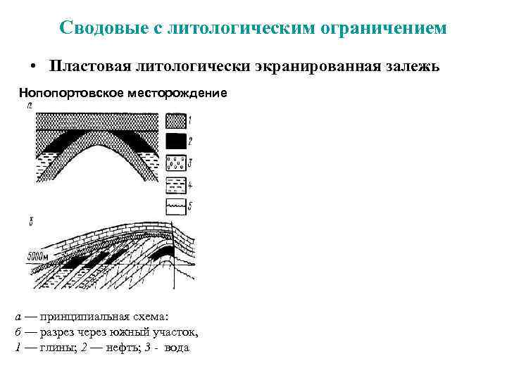  Сводовые с литологическим ограничением • Пластовая литологически экранированная залежь Нопопортовское месторождение а —