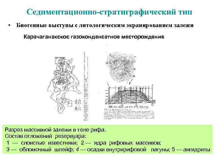  Седиментационно-стратиграфический тип • Биогенные выступы с литологическим экранированием залежи Карачаганакскос газоконденсатное месторождение Разрез