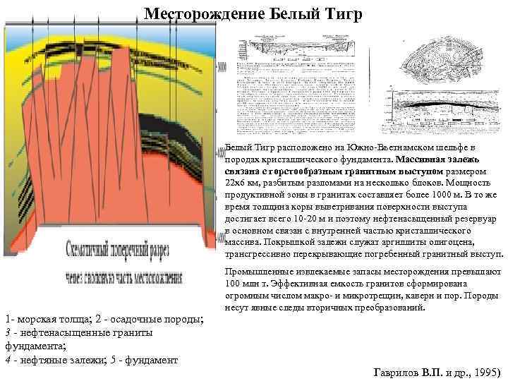  Месторождение Белый Тигр Белый Тигр расположено на Южно-Вьетнамском шельфе в породах кристаллического фундамента.