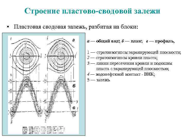  Строение пластово-сводовой залежи • Пластовая сводовая залежь, разбитая на блоки: а а —