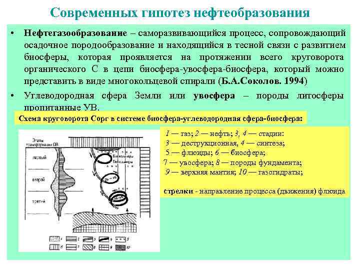   Современных гипотез нефтеобразования • Нефтегазообразование – саморазвивающийся процесс, сопровождающий  осадочное породообразование