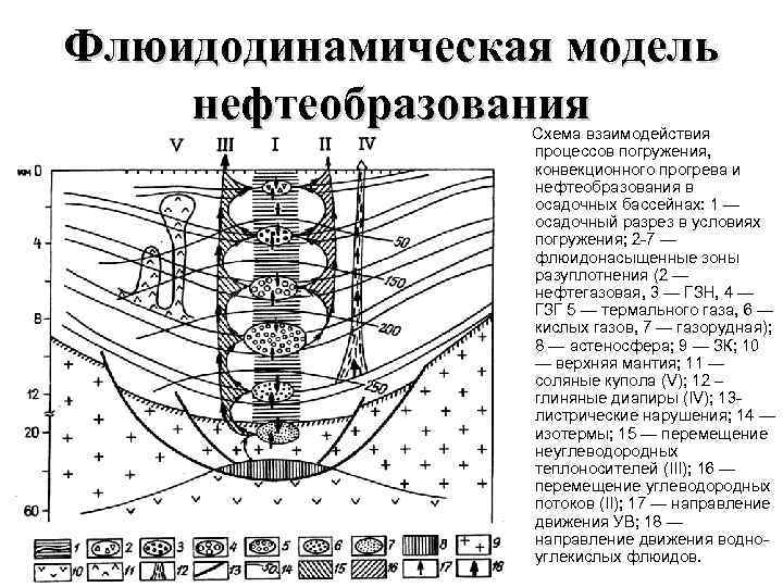 Флюидодинамическая модель нефтеобразования   Схема взаимодействия   процессов погружения,   