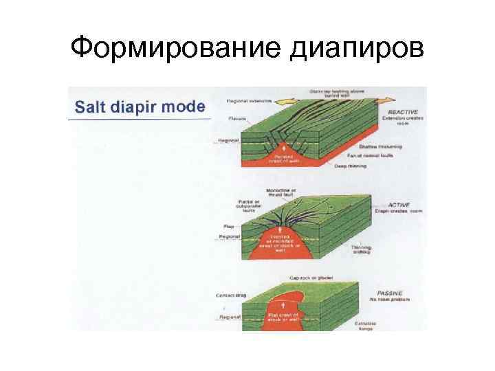 Формирование диапиров 