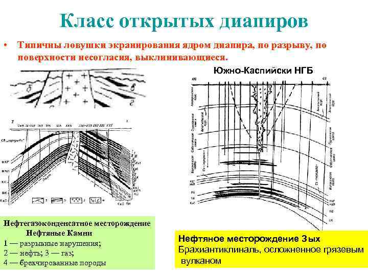  Класс открытых диапиров • Типичны ловушки экранирования ядром диапира, по разрыву, по поверхности