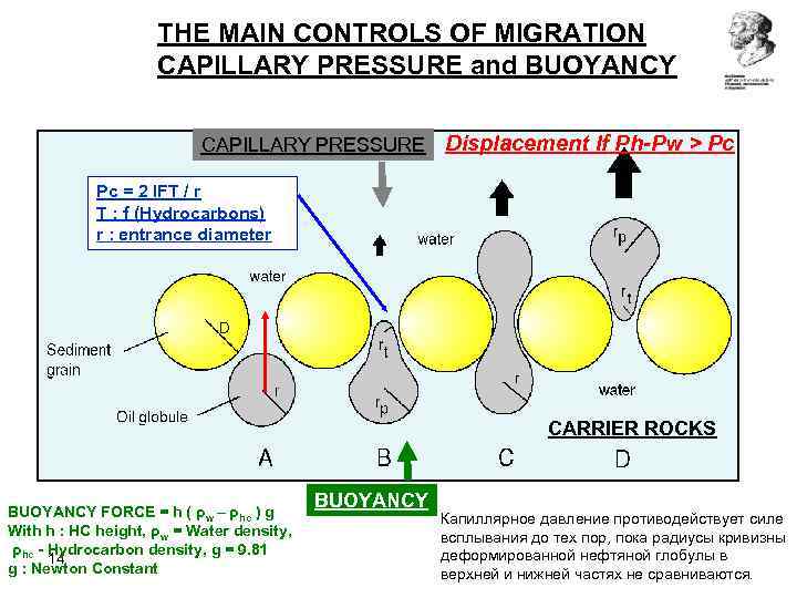     THE MAIN CONTROLS OF MIGRATION     CAPILLARY
