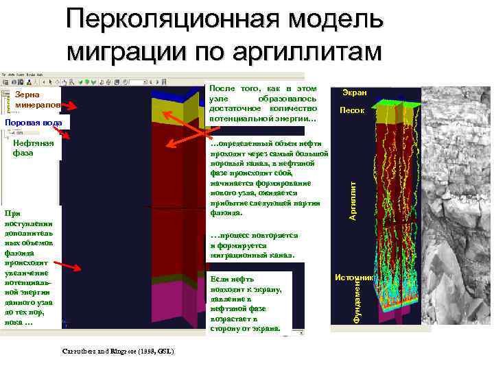     Перколяционная модель    миграции по аргиллитам  