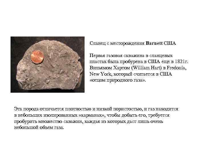       Сланец с месторождения Barnett США   