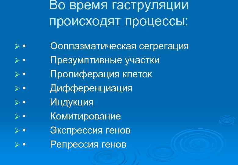  Во время гаструляции происходят процессы: Ø • Ооплазматическая сегрегация Ø • Презумптивные участки