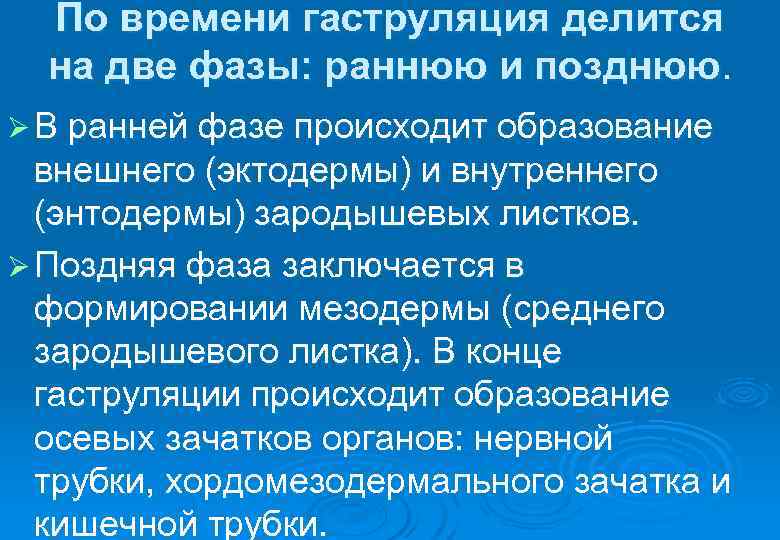  По времени гаструляция делится на две фазы: раннюю и позднюю. Ø В ранней