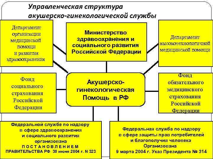 Структура гинекологического стационара схема