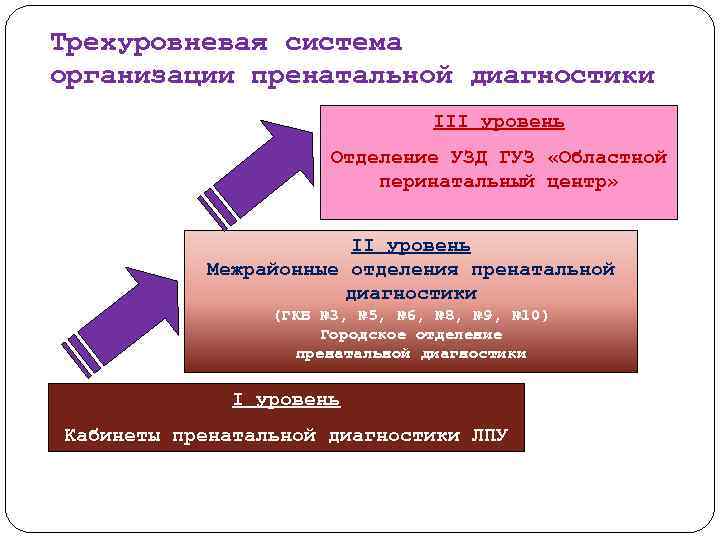 Методы перинатальной диагностики презентация