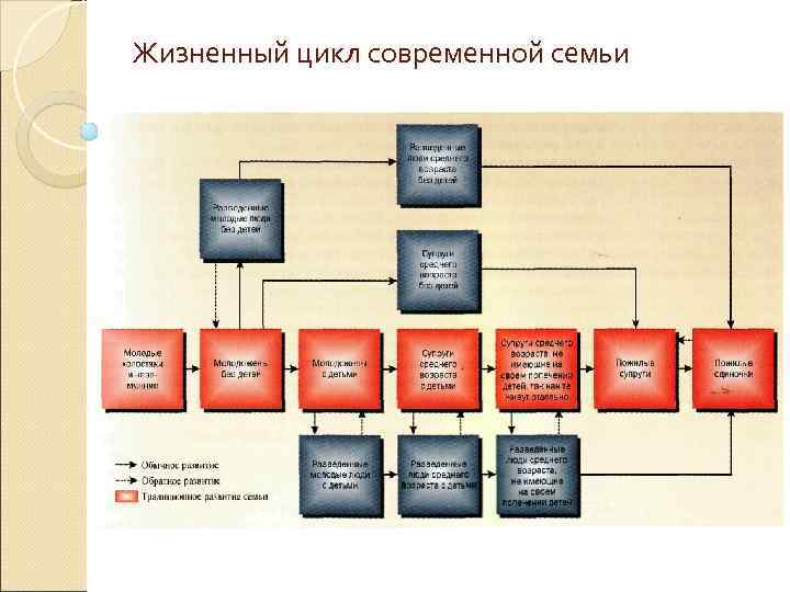 Жизненный цикл современной семьи 