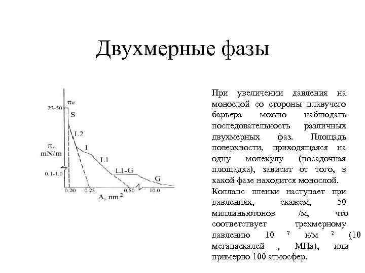 Двухмерные фазы При увеличении давления на монослой со стороны плавучего барьера можно наблюдать последовательность