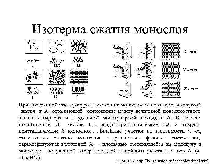  Изотерма сжатия монослоя При постоянной температуре T состояние монослоя описывается изотермой сжатия π