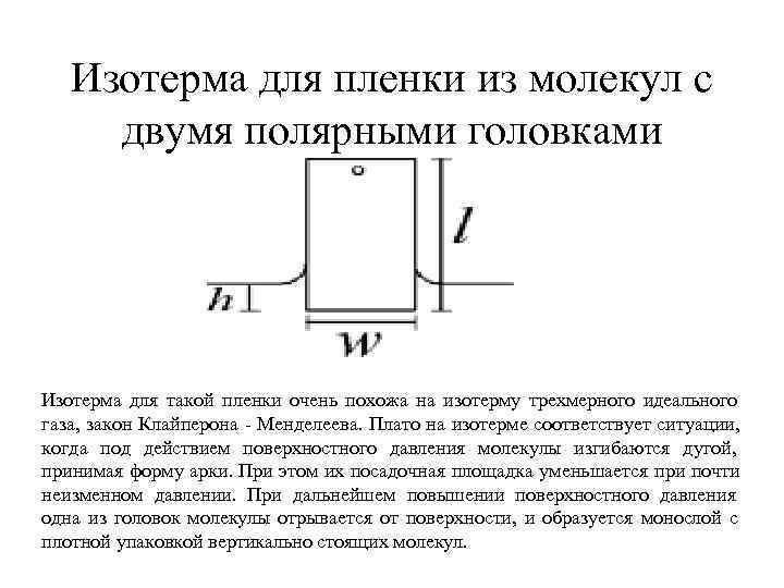  Изотерма для пленки из молекул с двумя полярными головками Изотерма для такой пленки