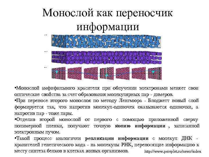  Монослой как переносчик информации • Монослой амфифильного красителя при облучении электронами меняет свои