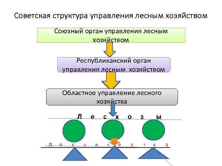 Советская структура управления лесным хозяйством Союзный орган управления лесным хозяйством Республиканский орган управления лесным