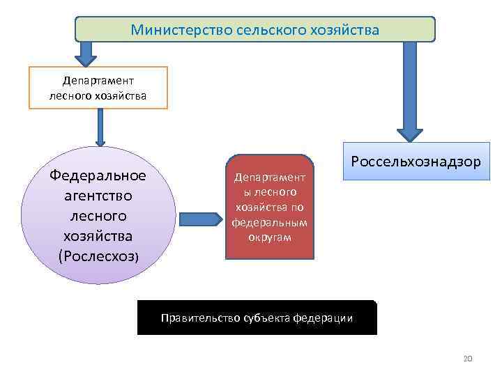  Министерство сельского хозяйства Департамент лесного хозяйства Россельхознадзор Федеральное Департамент агентство ы лесного хозяйства