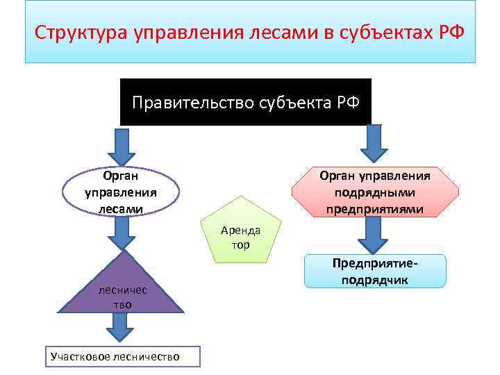 Структура управления лесами в субъектах РФ Правительство субъекта РФ Орган Орган управления подрядными лесами