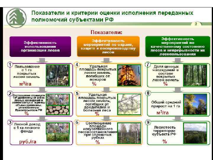 Лесное хозяйство 8 класс презентация