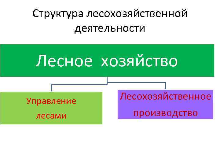 Состав лесной промышленности. Структура деятельности лесного хозяйства. Виды деятельности Лесной отрасли. Экономические особенности лесохозяйственного производства. Особенности лесного хозяйства.